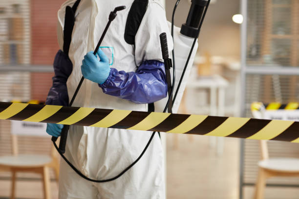 Professional Sewage Cleanup technician working in Hasty, AR